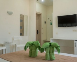Family room (2+2) в Green Elephant