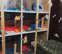 Комната для домашних животных в Сак