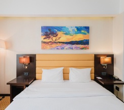 Двухместный номер Standard двуспальная кровать в Comfort Hotel Astana