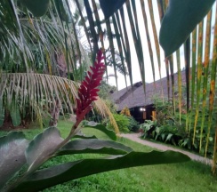 Бунгало в Hôtel Clair de Lune