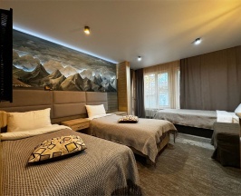 3х - местный номер c тремя раздельными кроватями и балконом в Green Park Arkhyz&SPA