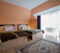 Стандарт ком.№4 в Золотой Лев