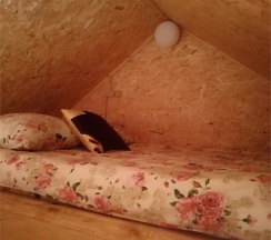 Кедровые домики в Деревенька на роднике