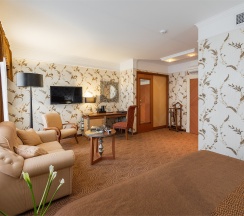 JuniorSuite в Двор Подзноева