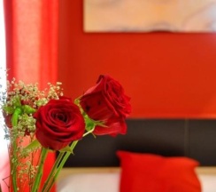 Одноместный номер Superior в Hostal Falfes