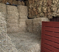 A-Frame №1 (оснащение дома, банного чана и бани см. Подробнее) в Pavlove Village