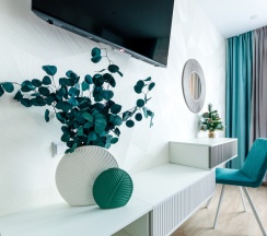 Однокомнатный Комфорт (103/267) в Frukty Rent