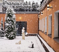 Новогодний номер в Neozoom