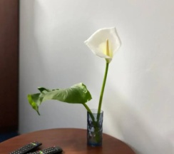 Четырёхместный номер Standard в Полина