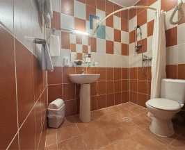 Стандартный в Елизар