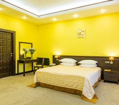 Президентский люкс PSUI в Гладенькая