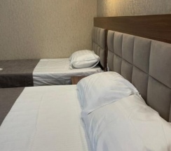 Трёхместный номер Deluxe с балконом и с красивым видом из окна в Артика