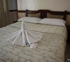 Двухместный номер Standard 2 отдельные кровати в Tonglen Eco Resort