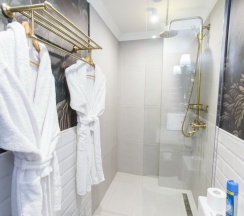 Делюкс 206 в Никольский