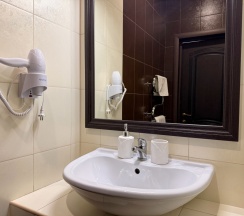 2х местный стандарт  в Alpen House