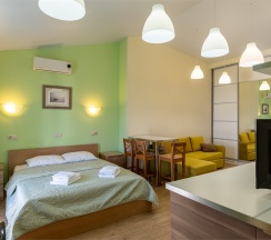 Апартаменты Люкс (Однокомнатный 2-х местный номер c кухней без балкона) в Odeon