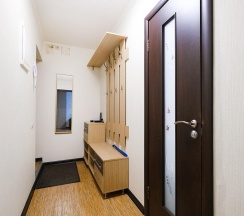 1-комнатные апартаменты стандарт с диваном в КВАРТИРКА-НСК