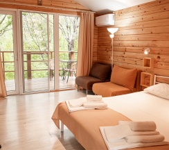 ЛЕСНЫЕ в На высоте