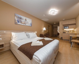 2-местный номер улучшенный семейный с 1 двуспальной кроватью в Ленинградский