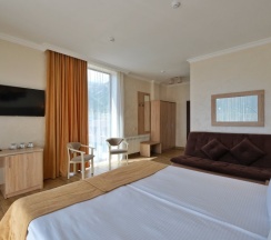 Трёхместный номер Superior с балконом и с красивым видом из окна в Grand shale