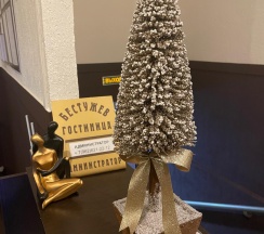 Апартаменты студия с 1 двуспальной кроватью и диваном в Бестужев