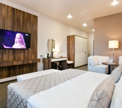 Номер стандарт с 1 двуспальной кроватью в L`Hotel