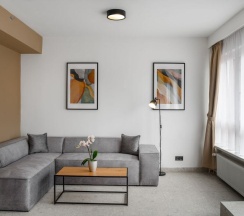 Апартаменты Deluxe с 3 комнатами в Florin Apart Hotel