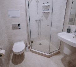 Улучшенный полулюкс двухместный с балконом в Космос