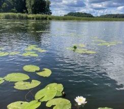 Шестиместный коттедж с 3 комнатами с красивым видом из окна в Купчиха