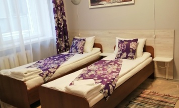 Двухместный номер Эконом в Пелысь