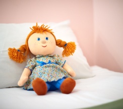 Двухместный номер Comfort с красивым видом из окна двуспальная кровать в Иордан