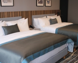 Двухместный номер Улучшенный с красивым видом из окна 2 отдельные кровати в Владикавказ