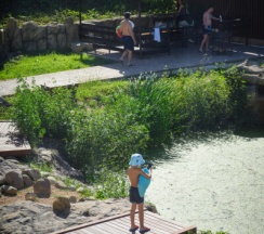 Семейный номер в АльтаРио