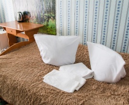 1-местный номер полулюкс в Месягутово