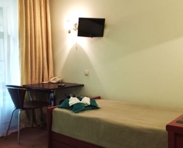 Одноместный номер в Travel