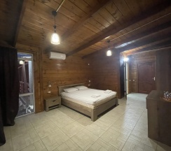 Двухместный номер Classic с балконом и с красивым видом из окна двуспальная кровать в Астан