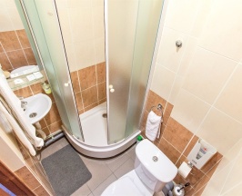 Номер Эконом (одноместный) в Дубки