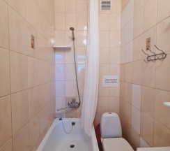 Номер стандарт улучшенный с 1 двуспальной кроватью в Золотой Лев