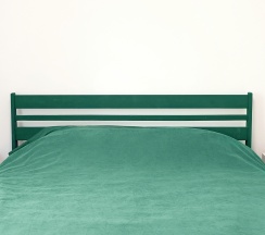 Дом в Мох house