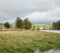Ягодный домик с террасой в Ягодная Деревня