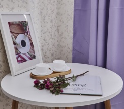 Бюджетный номер с раскладывающийся кроватью в Наше радушие