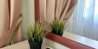 Анапа: Коттедж Солнечное побережье