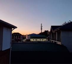 "ПАЛЬМА 6" Трехместный Комфортный номер с двуспальной кроватью одноместным диваном на 2 этаже в ГД "Цитрус" в Цитрус