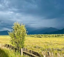 Гостевые дома в Уймон-Парк