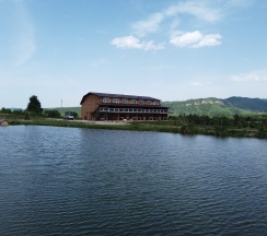 Двухместный номер в Золотая рыбка