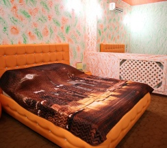 Номер стандарт с 1 двуспальной кроватью (с завтраком) в Амазонка