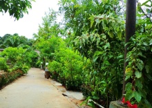 Двухместный номер Standard двуспальная кровать в The Krabi Forest Homestay