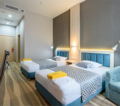 ТВИН в Grand Spa Hotel Avax