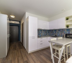 Studio Standard в Radius Central House by Огни Rent