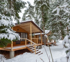 Двухместное шале с красивым видом из окна двуспальная кровать в Forest house resort